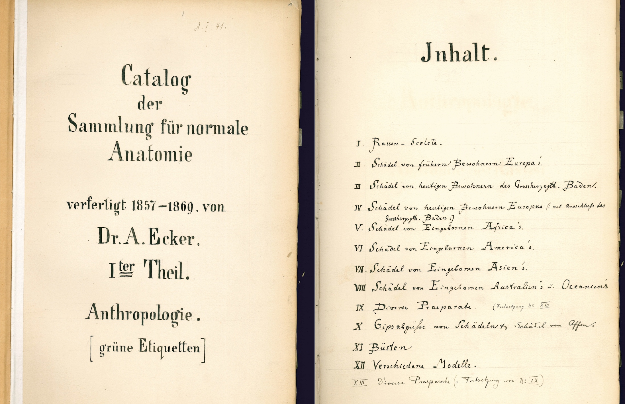 Catalog der Sammlung Freiburg